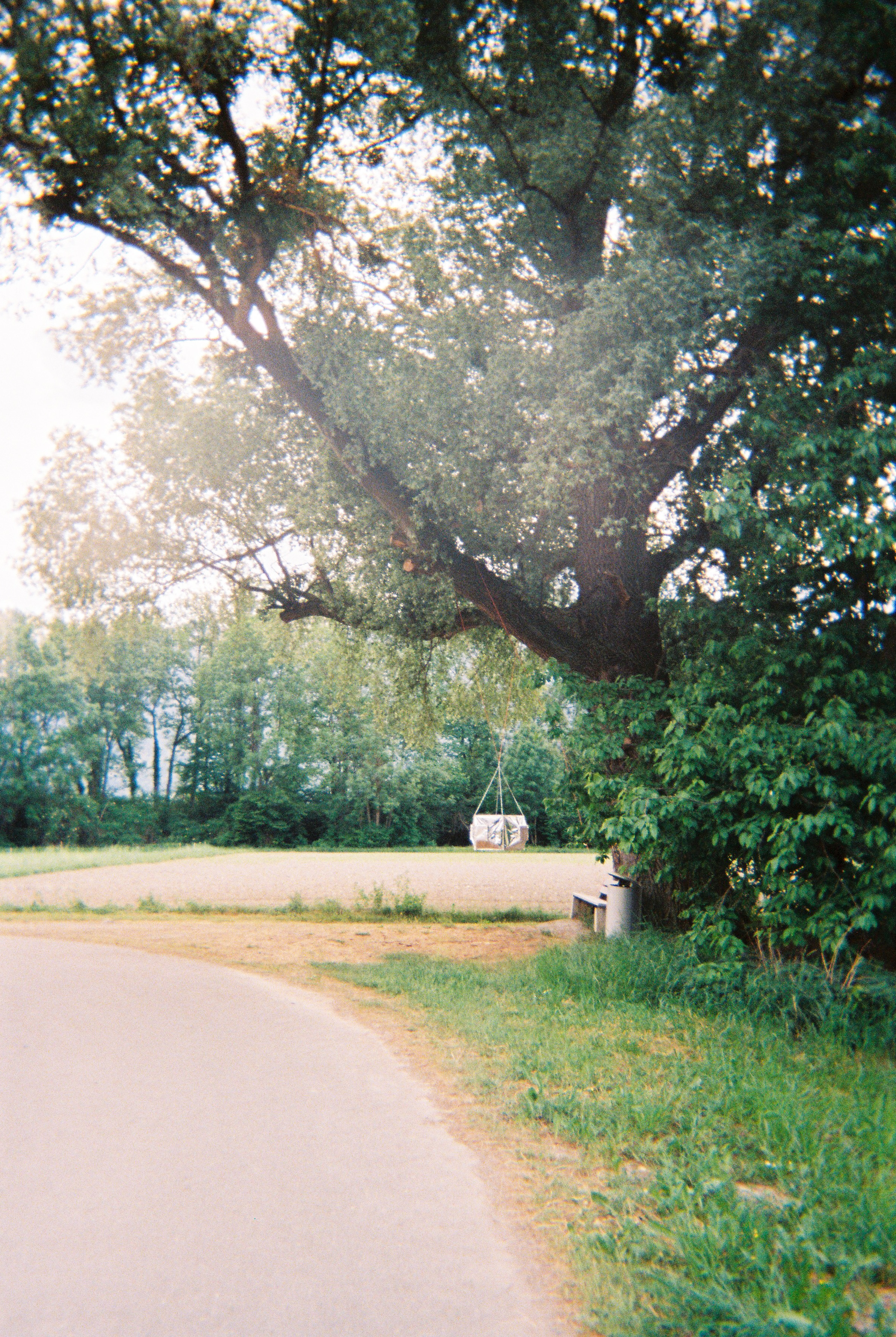 Photographs taken while walking on THE LINE in Liechtenstein by Studio Venice