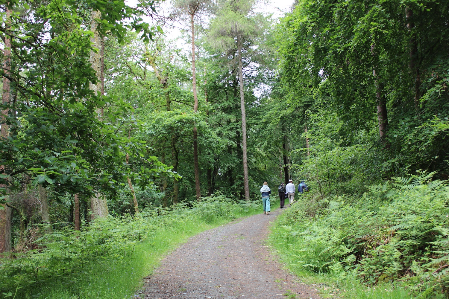 Ultimology Summer School 2025. Photo: Fiona Hallinan