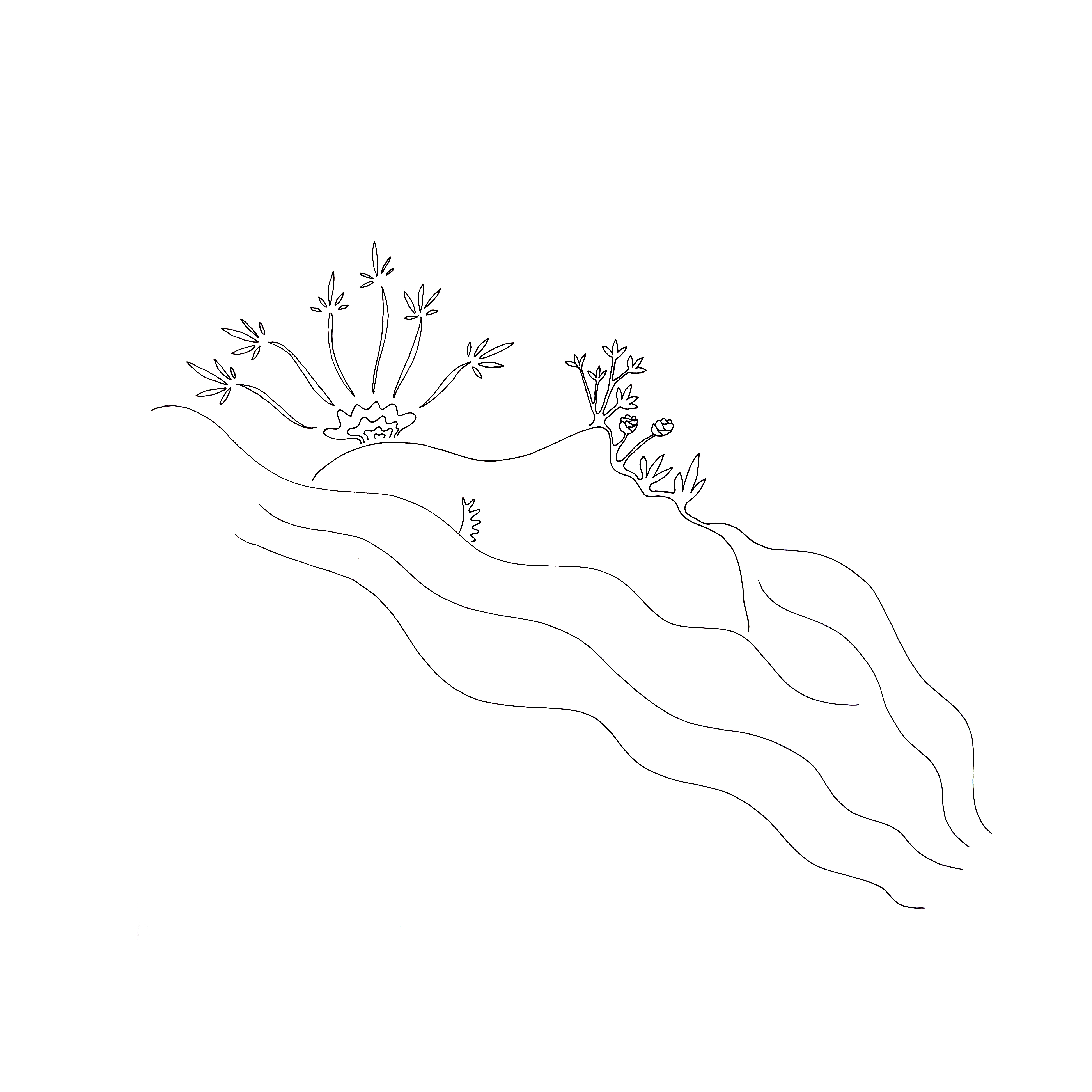 Going with flow, I blossom within 🌺 💦 ✨