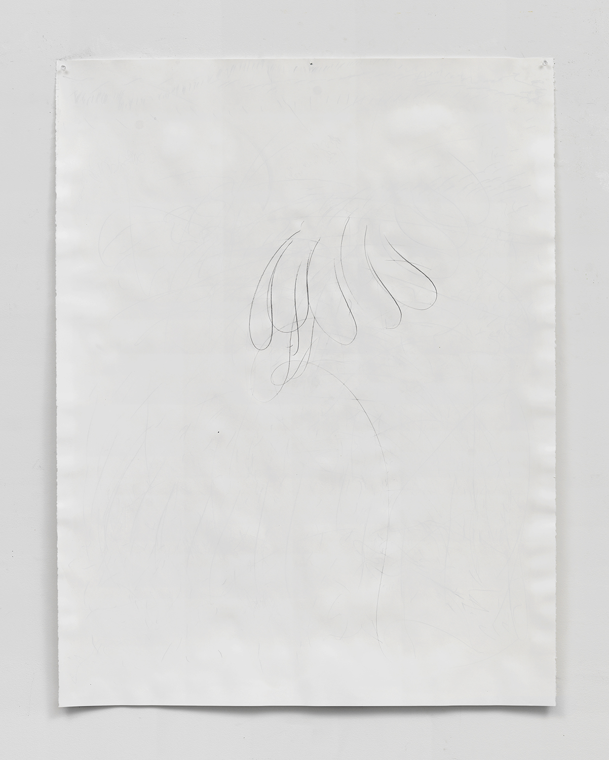 Belly Up, 2015, Acrylic gesso and graphite on paper, 50 x 38 inches (127 x 96.5 cm)