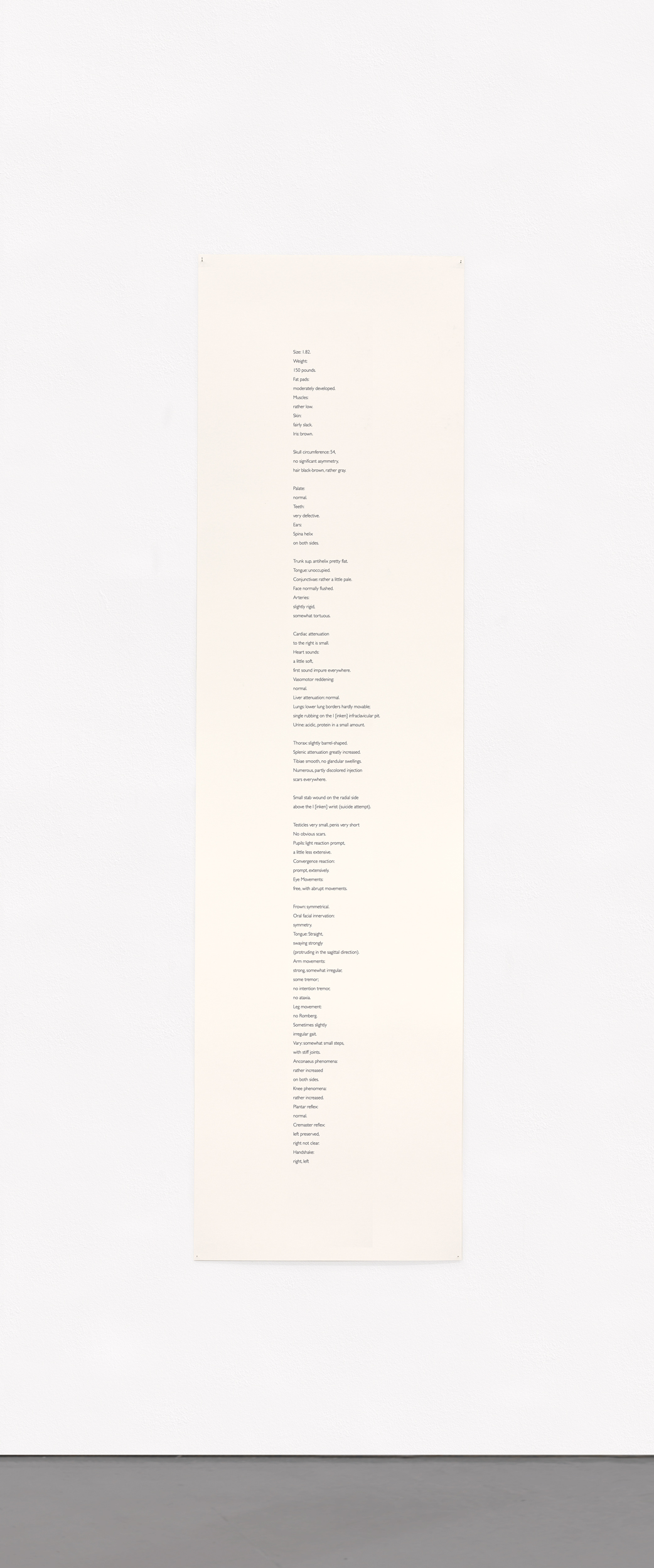 Hatch Open – the merely schematic 5, 2021 Printed text on paper 157,5 x 41,5 cm