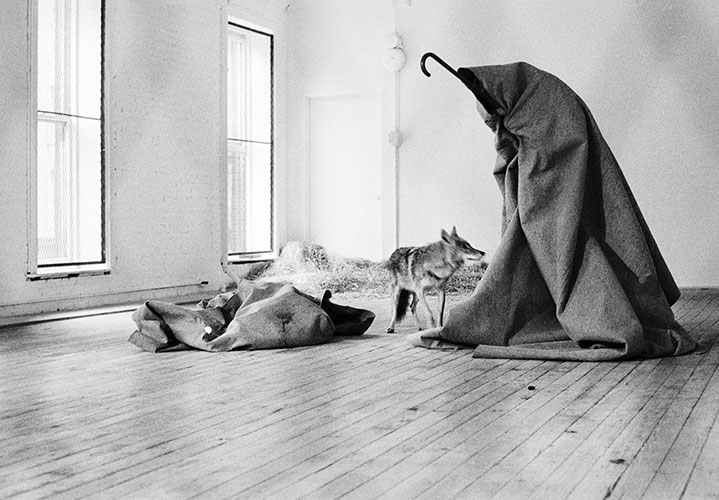Joseph Beuys: Coyote / Photographs by Caroline Tisdall 