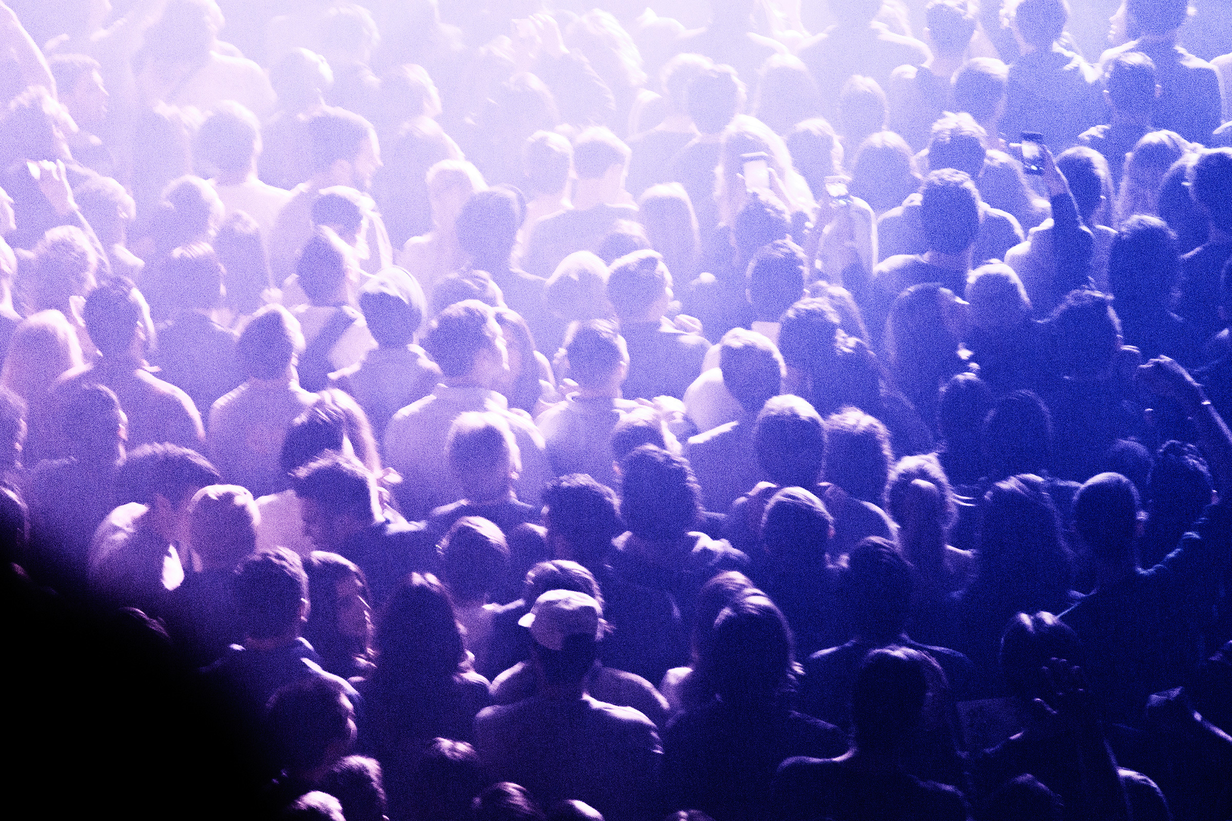 As Tall As Lions Crowd, 2015