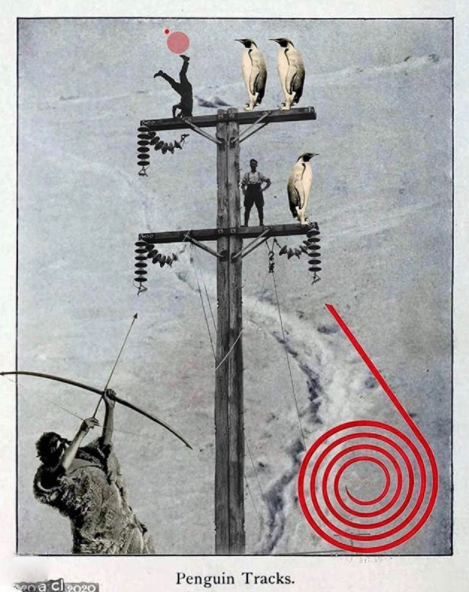 Maria Anna Ciemerych