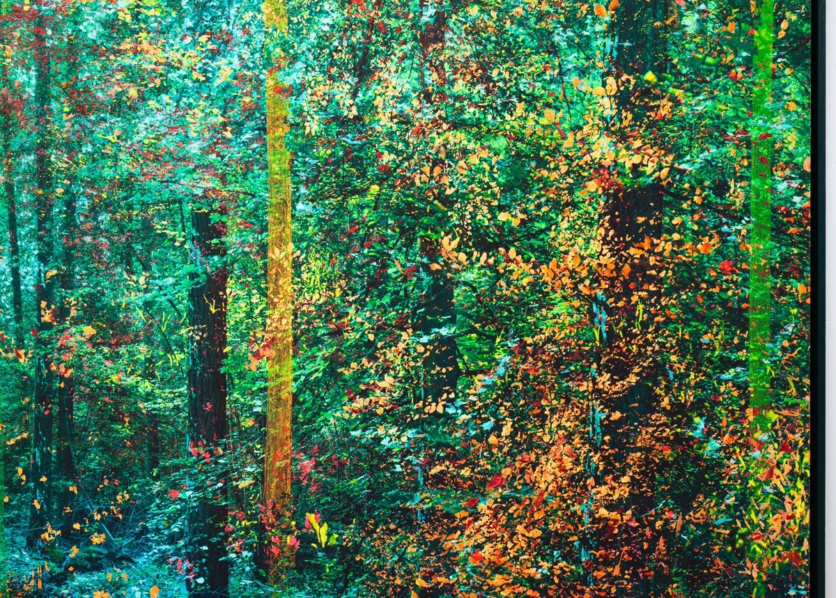 "Premier printemps d'automne", 130x80cm, 2022