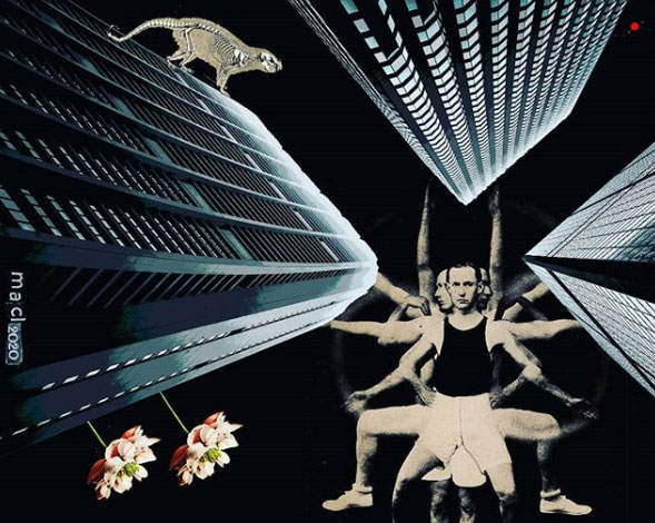 Maria Anna Ciemerych