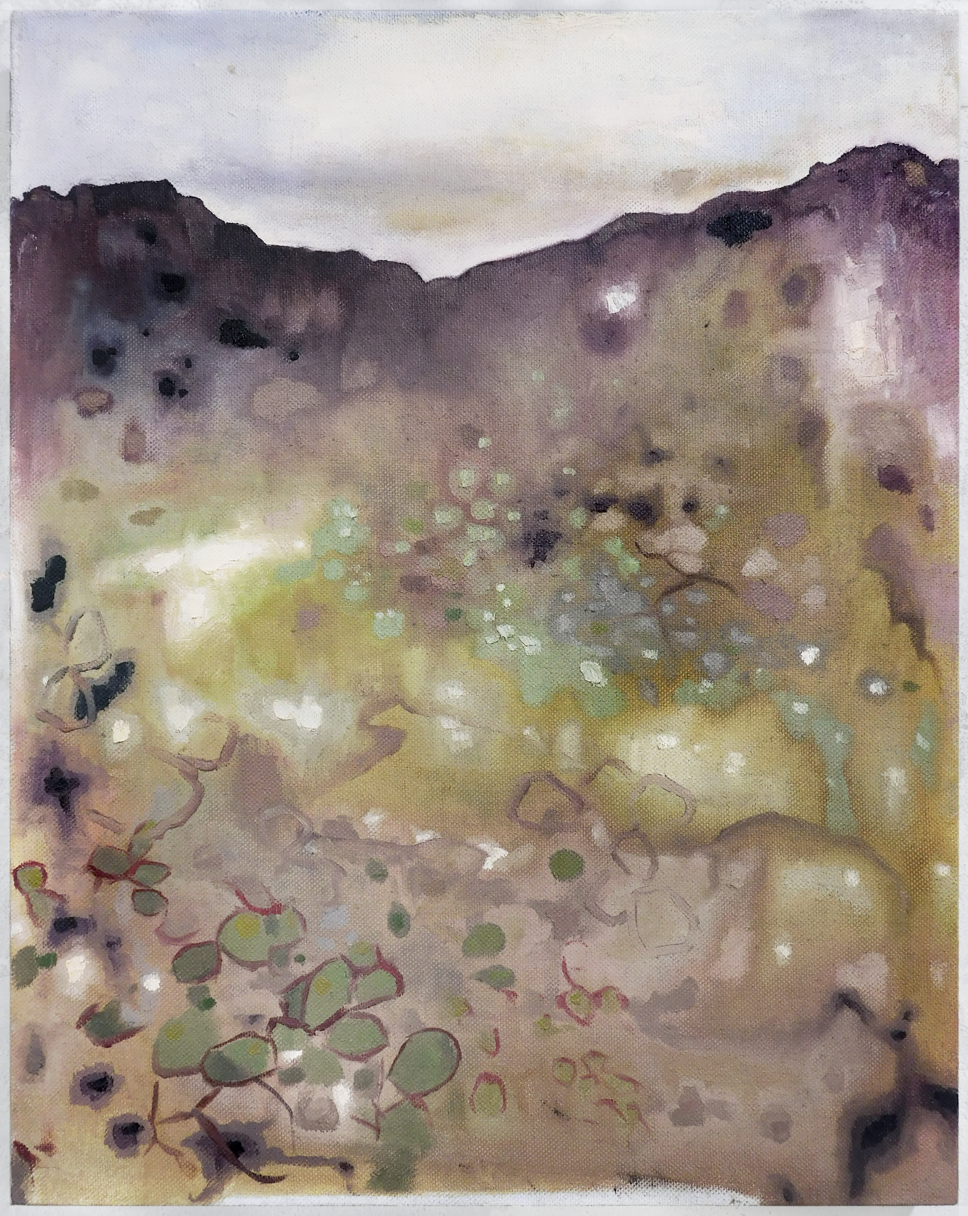 big bend ranch | 20 x 16" | oil on linen panel