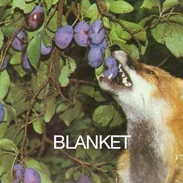 Kevin Abstract, Blanket Brand Identity Exploration, 2023