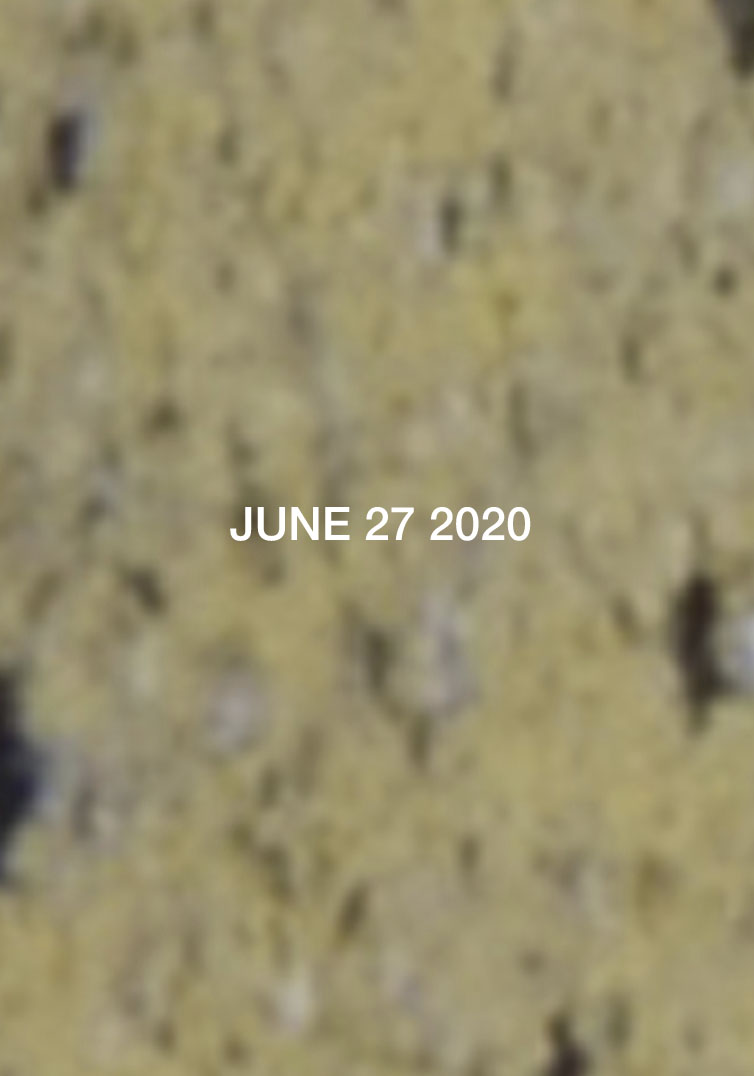 Micheál O’Connell [Mocksim]