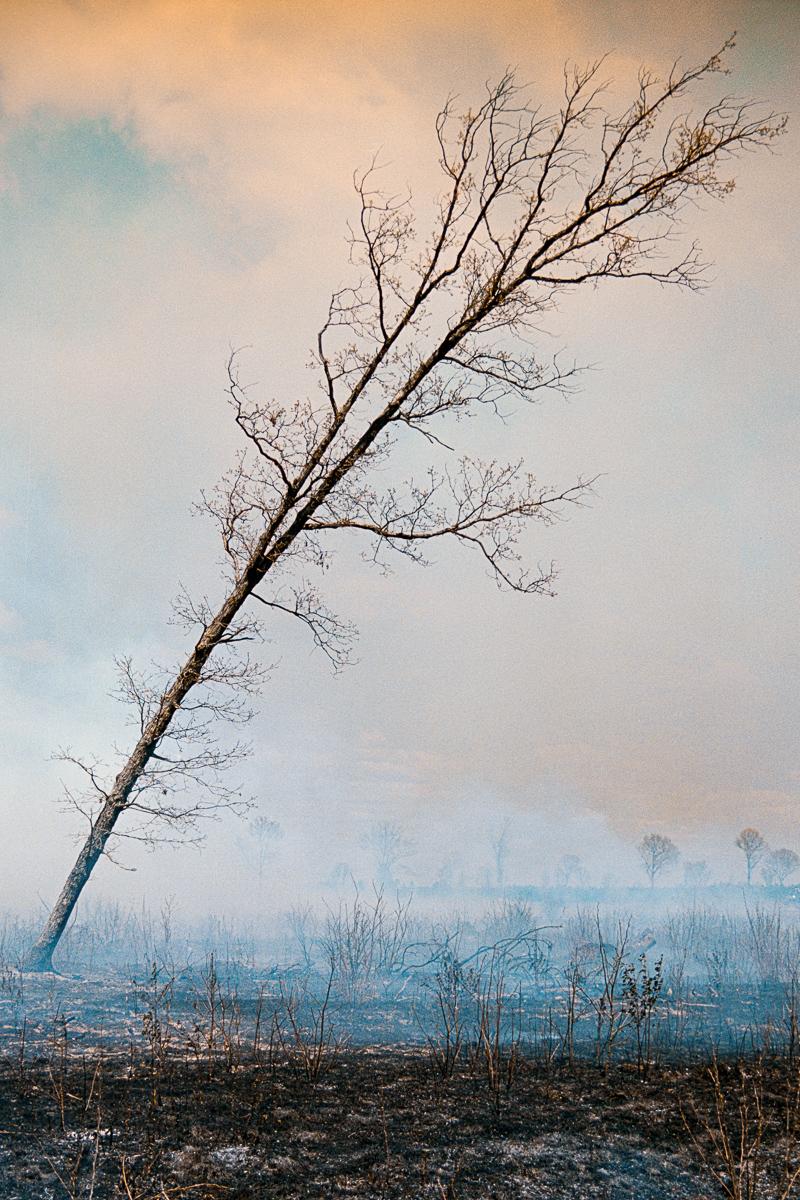 Controlled Burn in Wisconsin