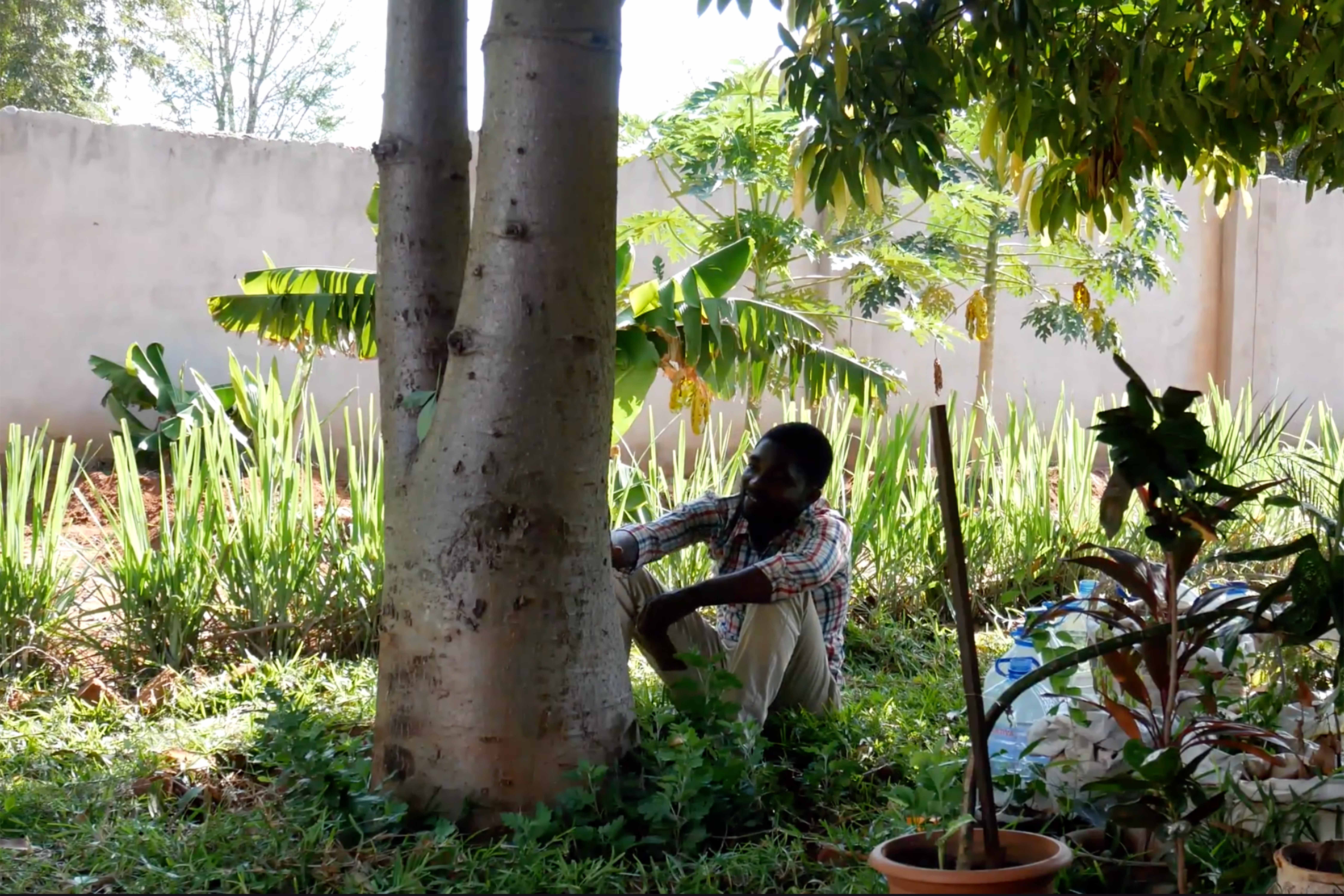 Talking to Trees, (video still), Kabila Kyowa Stephane, 2020 (photocredit: Megan McNamara)