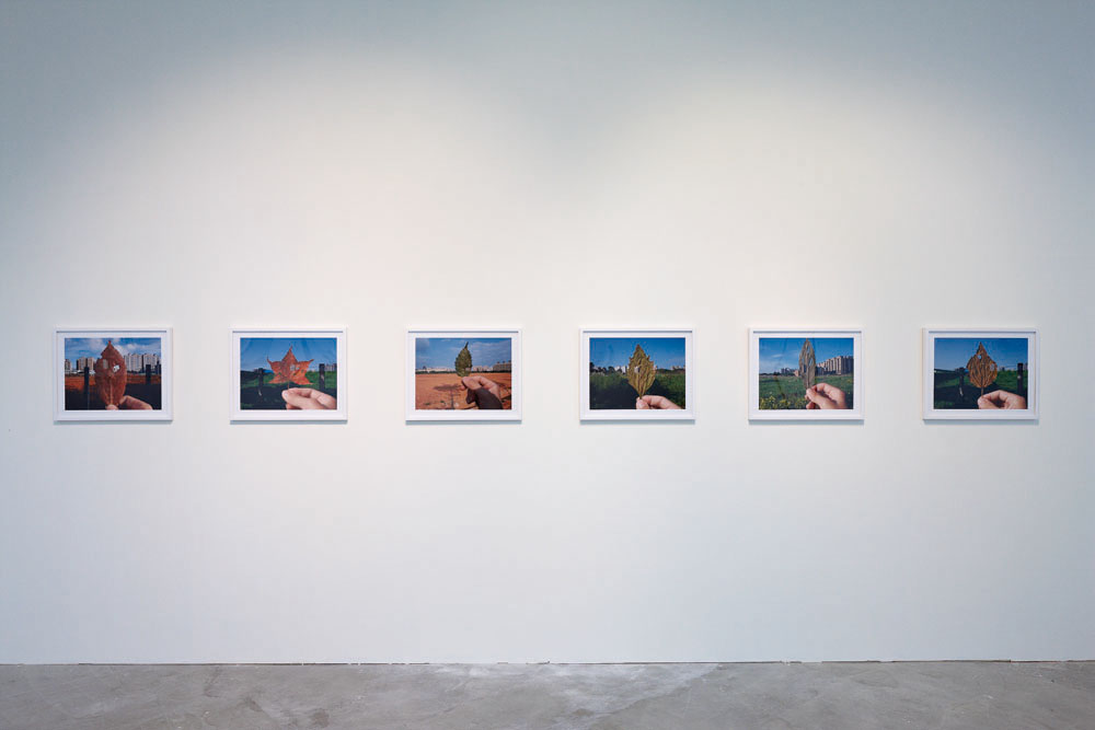 2012「遙遠的與鄰近的那些事物」TKG+，台北，台灣“Near and Far”, TKG+, Taipei, Taiwan