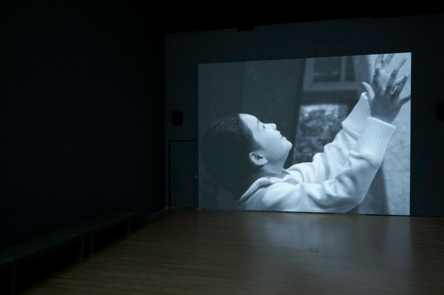  all photos Ian Reeves photography