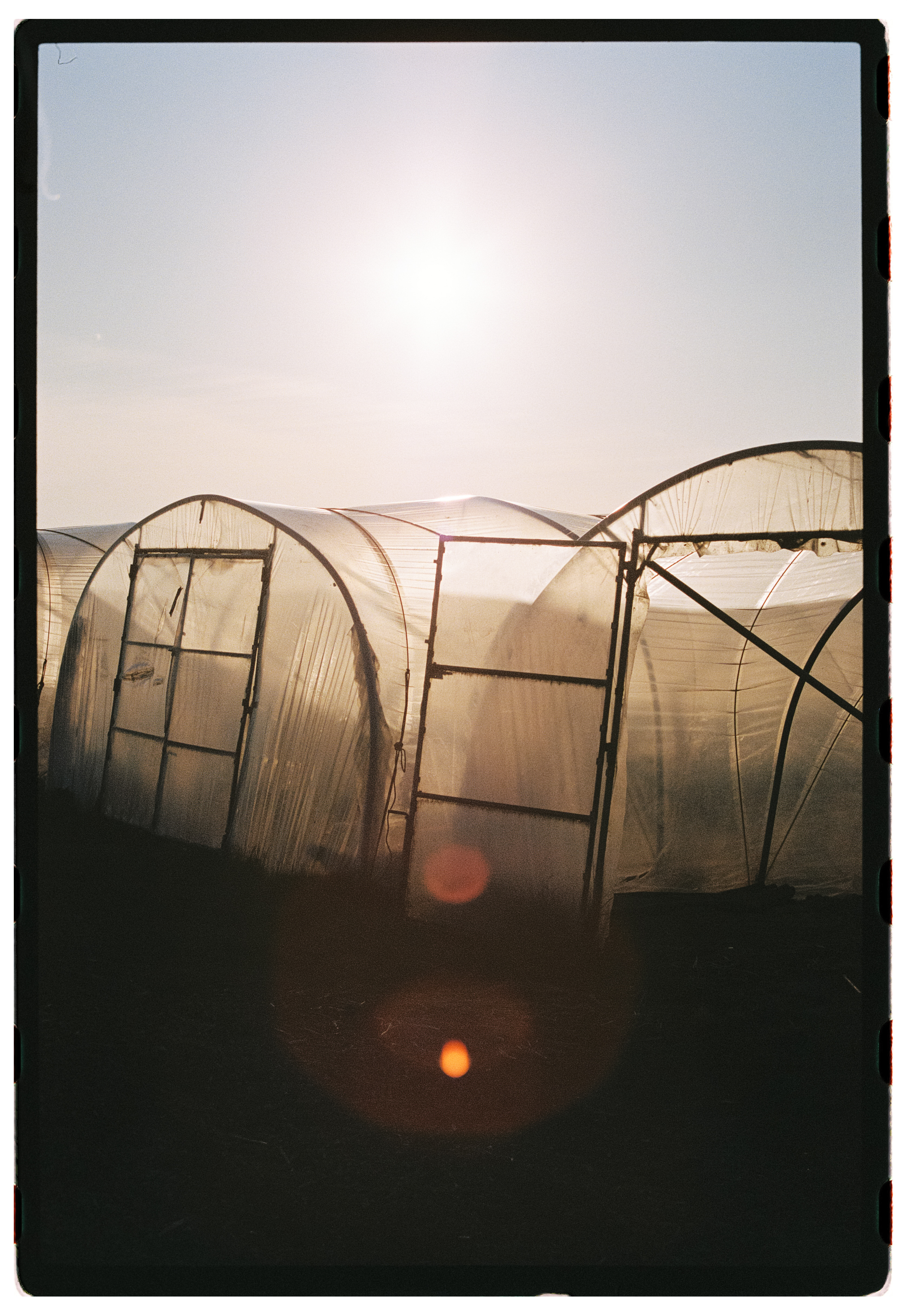 de zeeparel, food issue / 2025