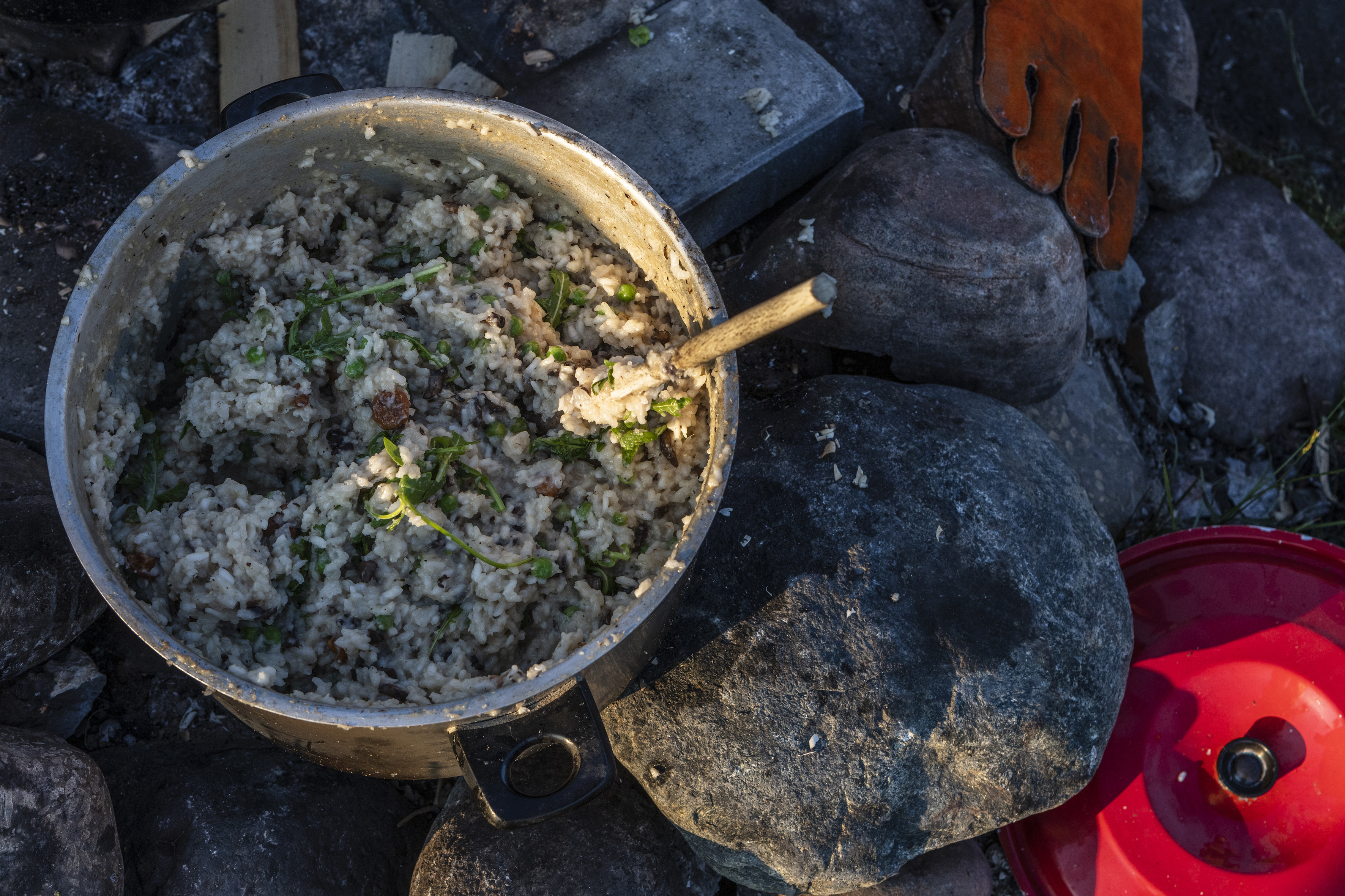 Documentation from performance and community meal by The Nomadic Platform for Eco-Economic Futures during the event Back to Nature - a part of the project Alternative Limfjord Ecologies, Lindholm Fjordpark, 2020 (photocredit: Niels Fabæk)