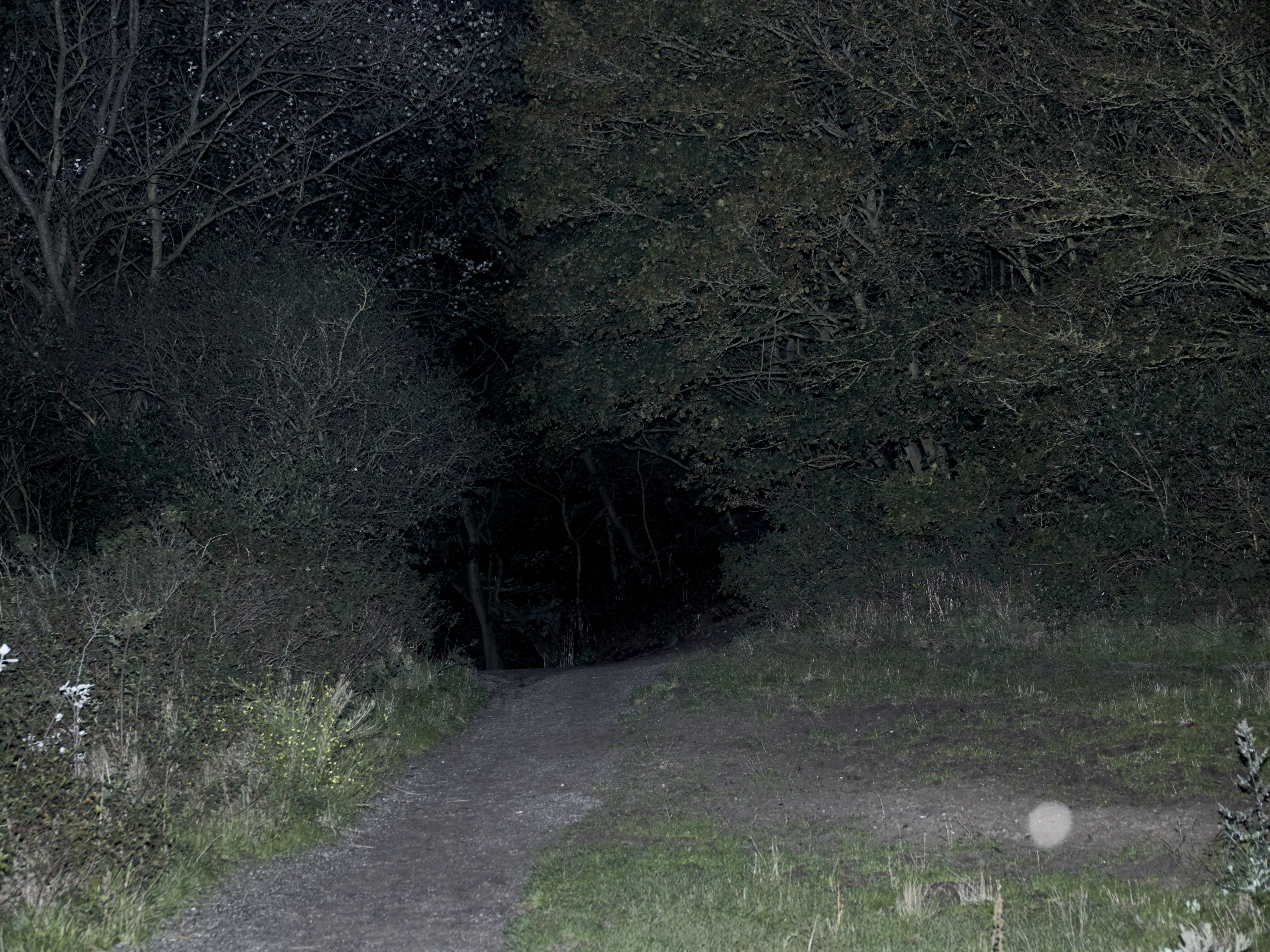 Dark entries