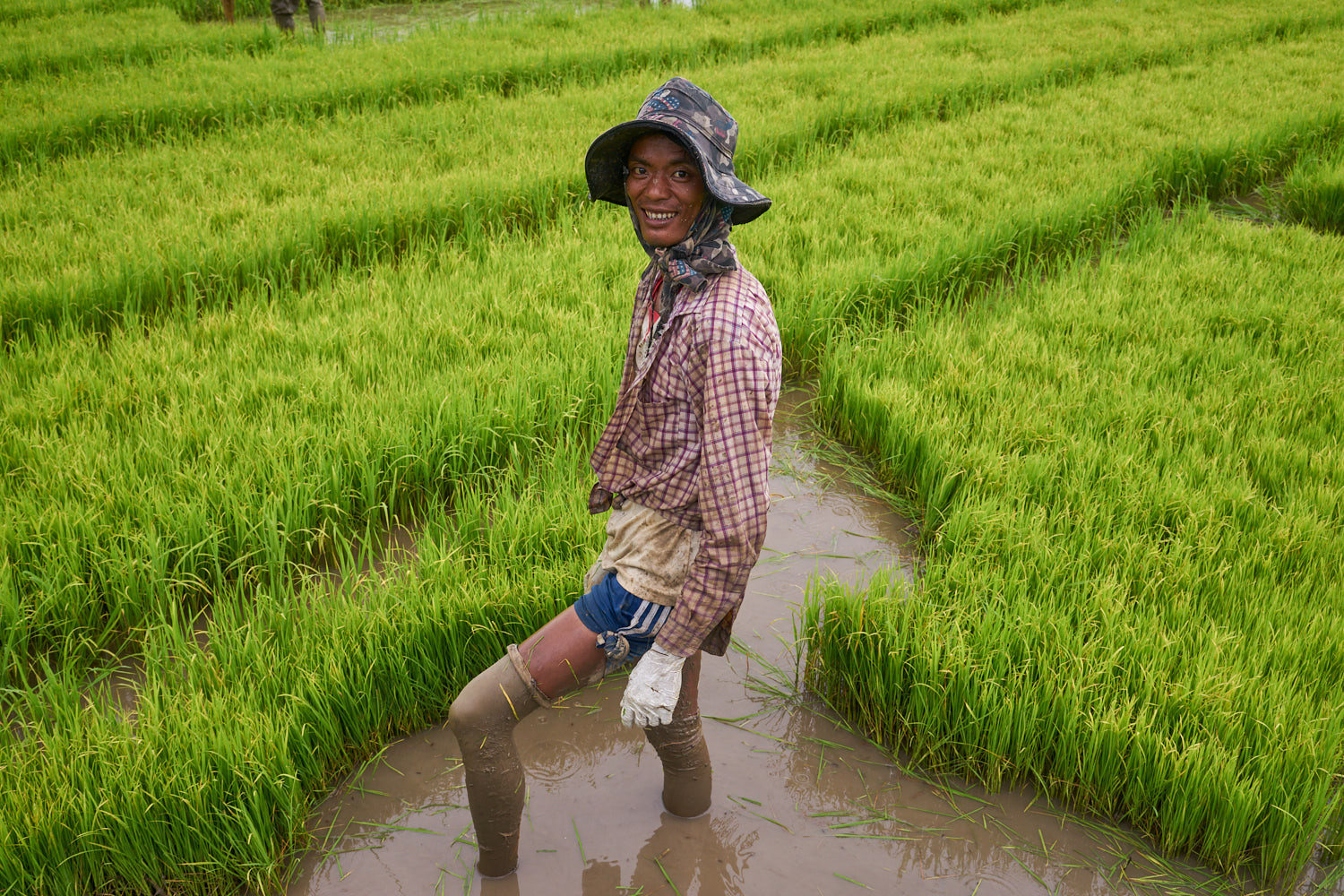 Mae Sai Thailand 08/2018