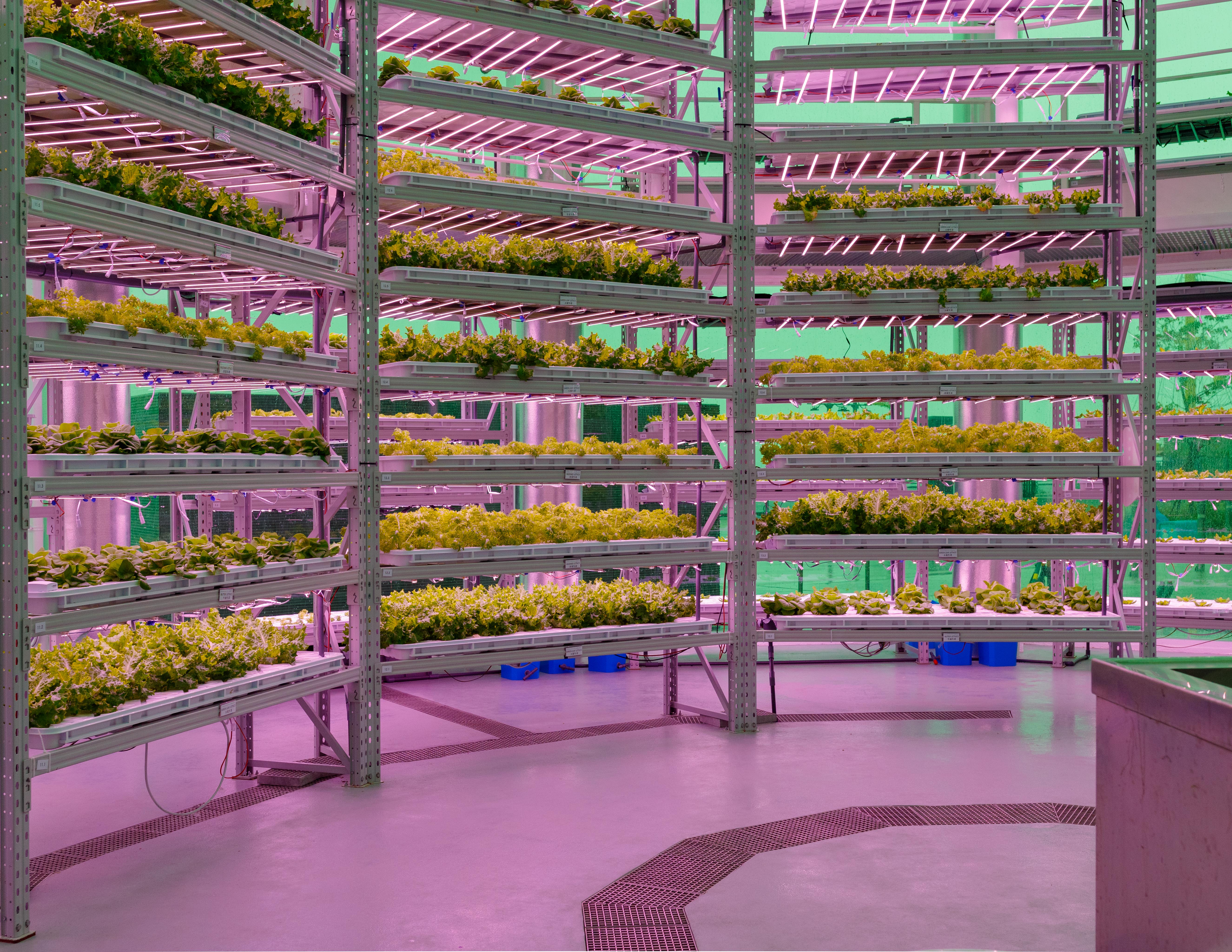 AO Architects for K-Farm - Vicky Chan