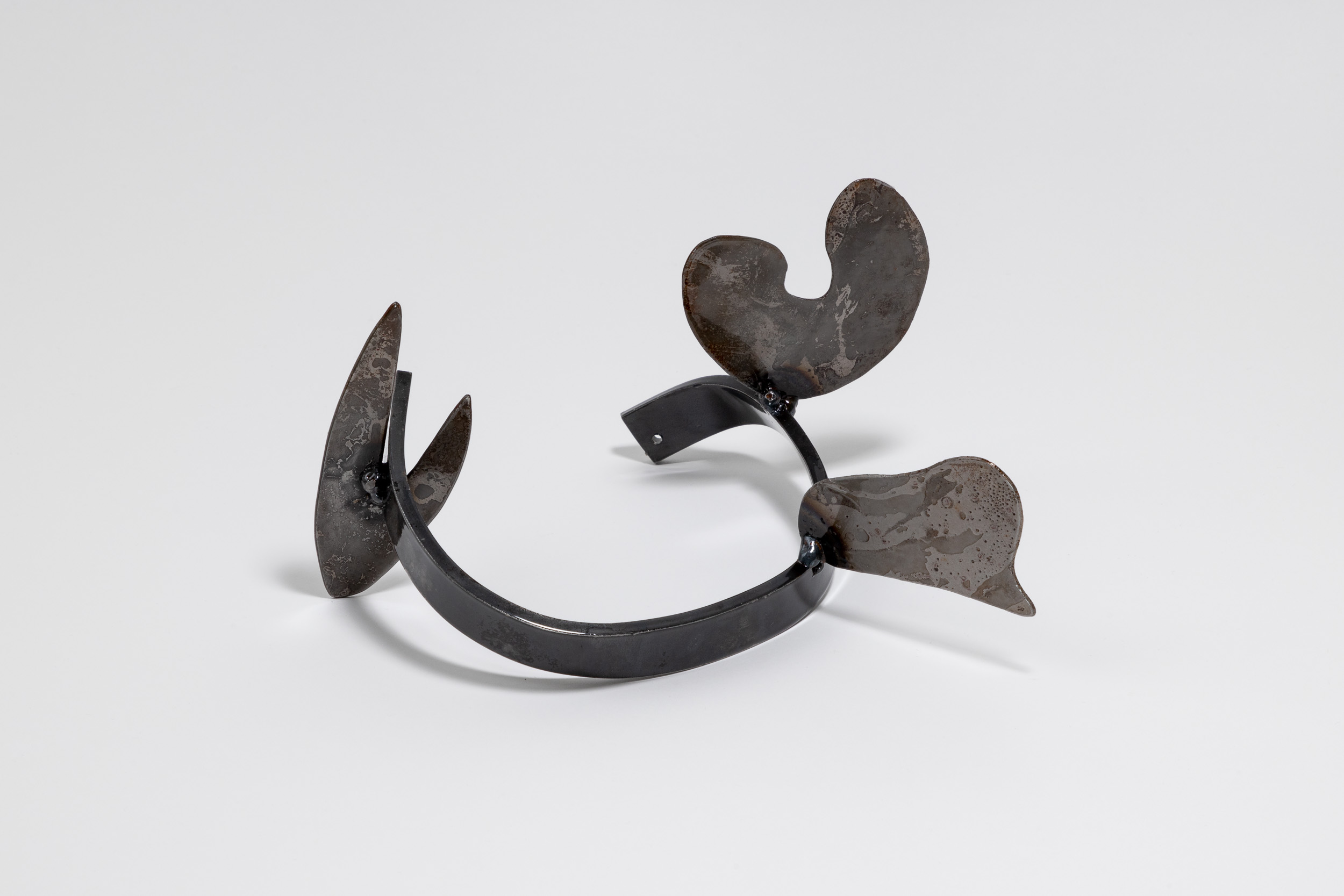 Xenophora 13/13, 12 x 23 x 16.5cm