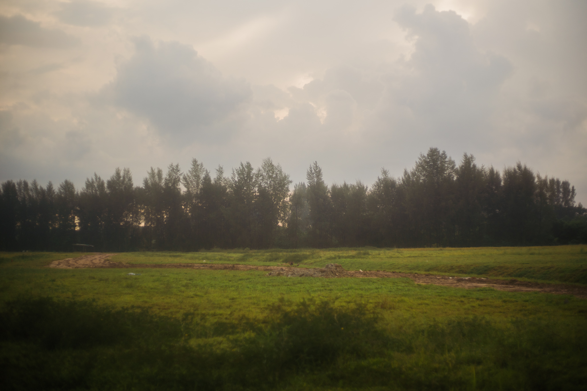 Punggol Lalang Fields, slated for removal for HDB development.