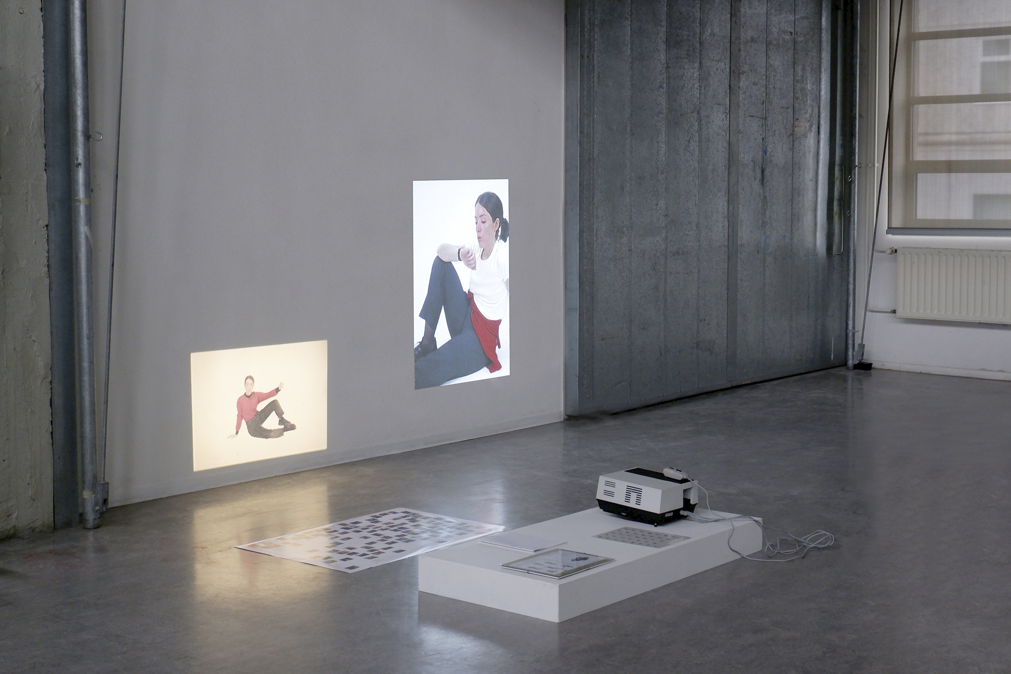 Hunting Instructions, Multimedia Installation, Design Academy Eindhoven (NL, 2020)