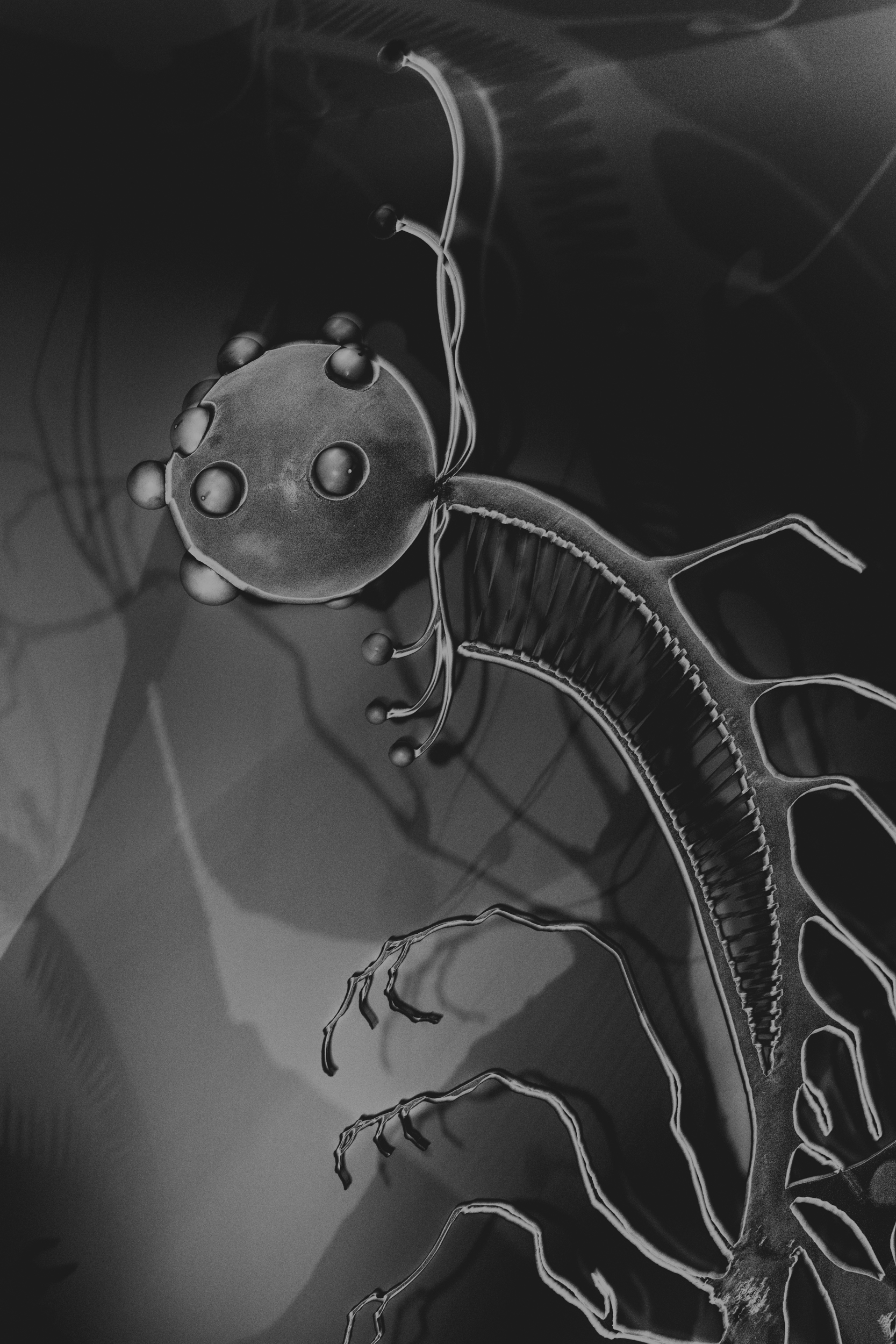 The Design Museum - The World of Tim Burton 2024