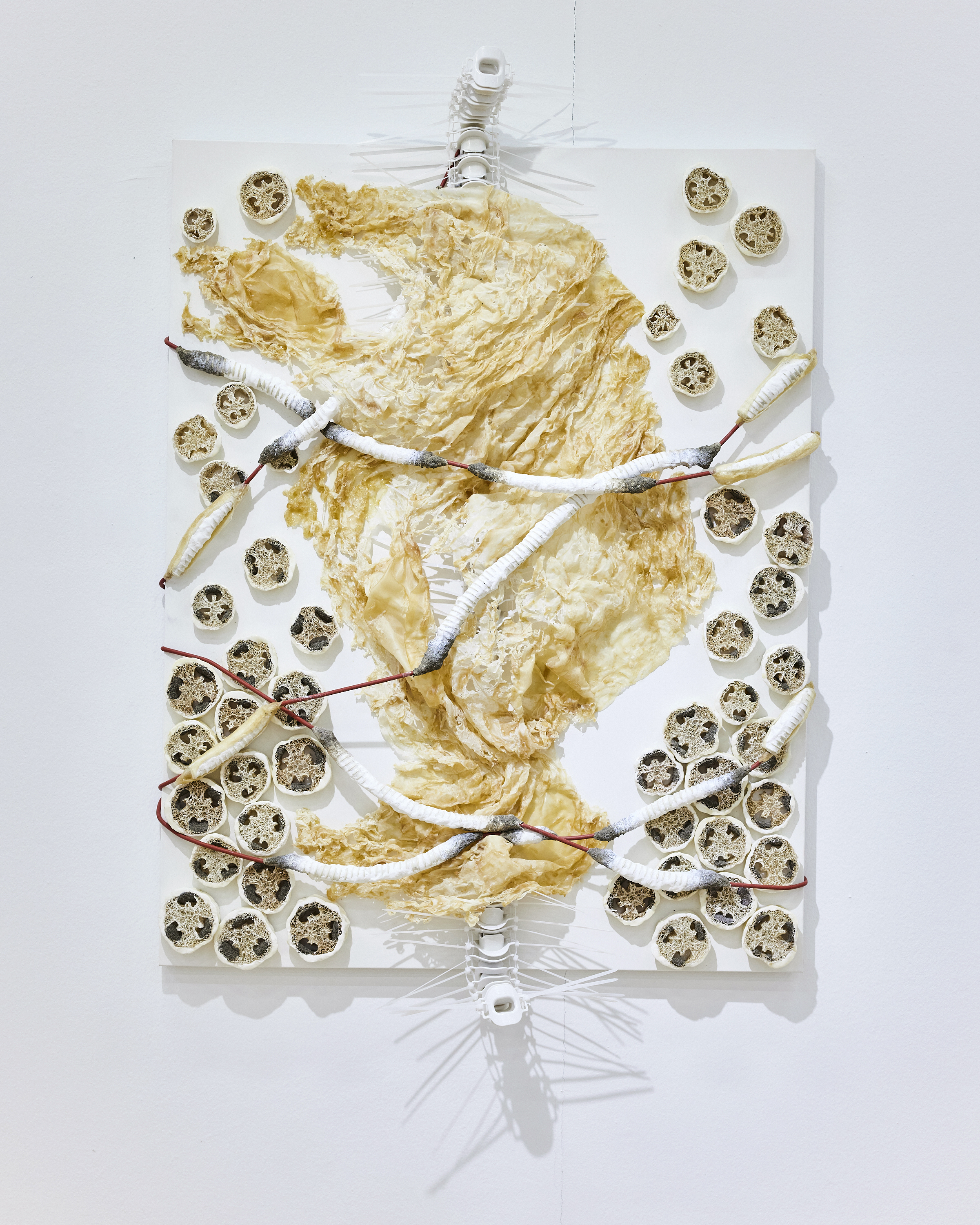 Skin Service-Agency #505, #606