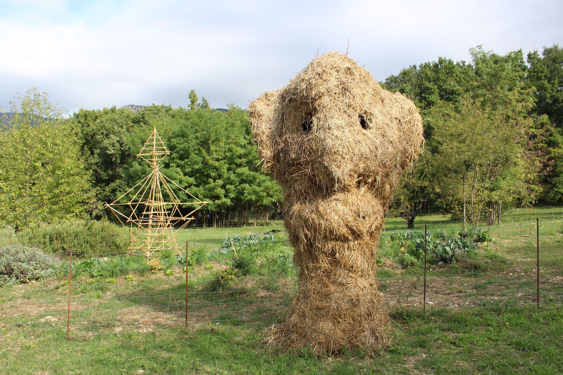 ph: Rebecca Sforzani