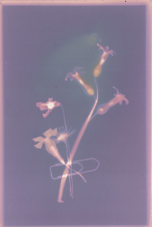 Image: Anđela Vujičić licensed under CC BY-NC-ND 2.0