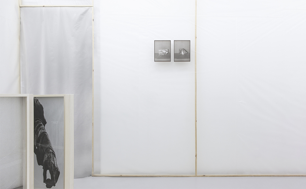 Vista de la muestra en HILO Galería.