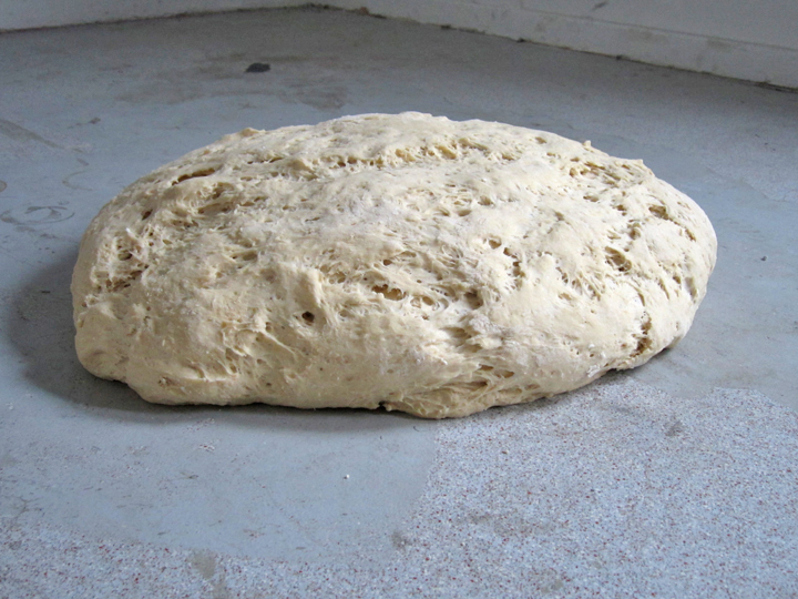 Live dough - rising