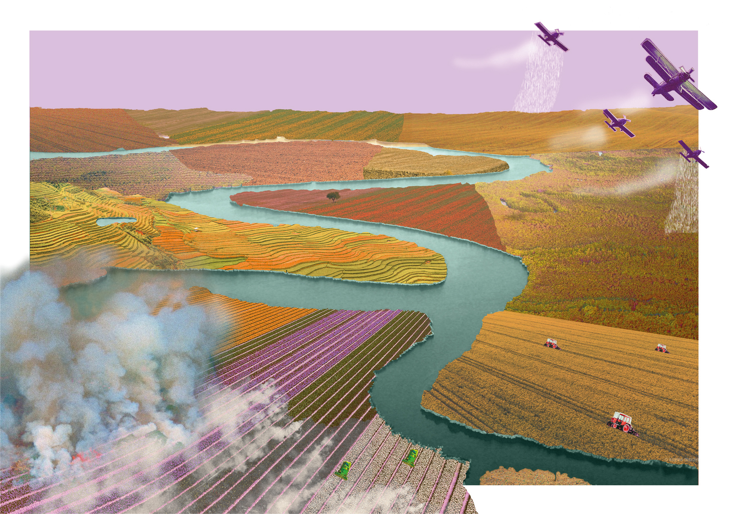 Amazon rainforest, 2029
