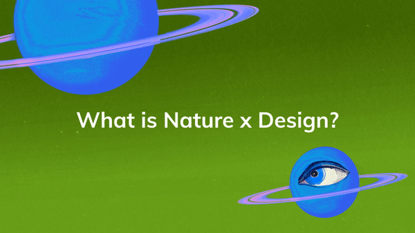 Biodiversity Design Hub - Nature X Design