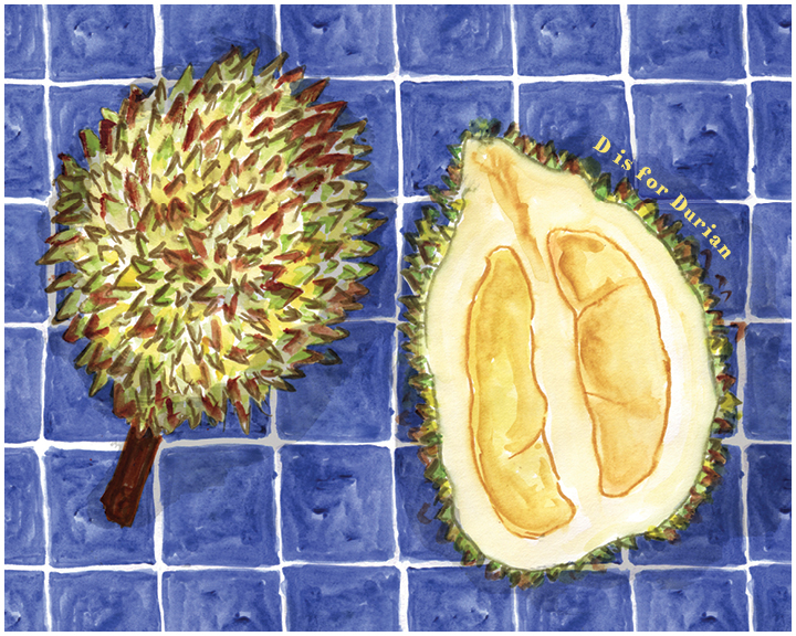 Singapore Sketches, Durian, illustration