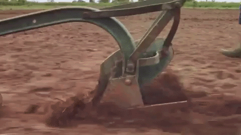 IFAD / The Field Report - Cannes Lion Shortlist, Campaign for Good Award shortlist