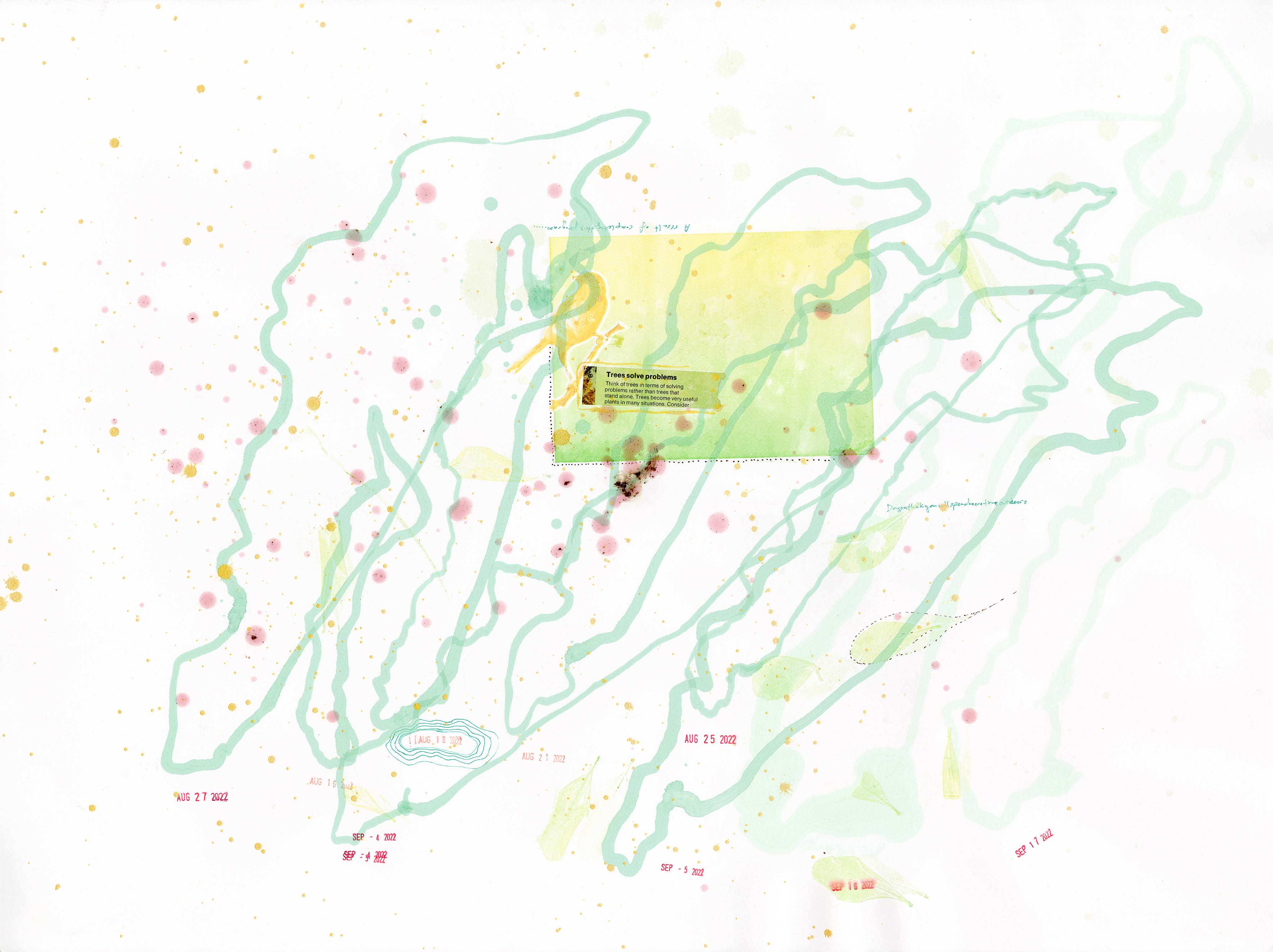 Drawing 5/56 from 56 days at the Dome House 22.5 x 30 inches, ink, Chine-collé, etching and stamps on Arches 88 paper- SOLD