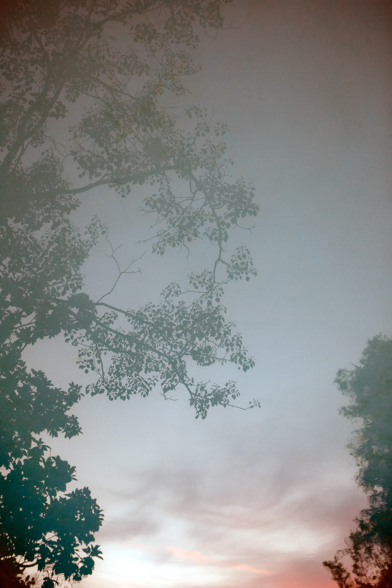 FV_Series_004_IMG_25_Sunset_Pool