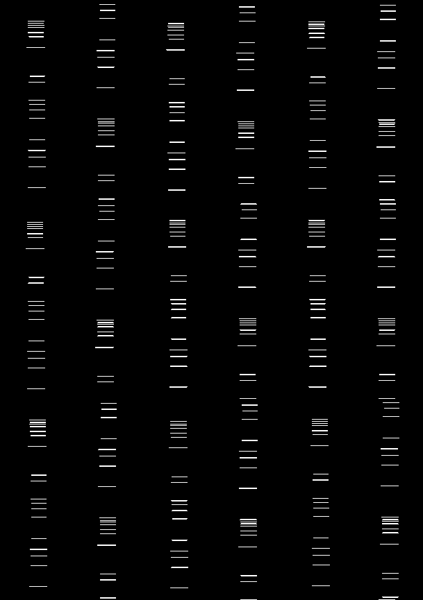 "Bar Codes / 6" Giclée fine art prints on Hahnemühle Watercolour paper / Variable dimensions / Edition of 6