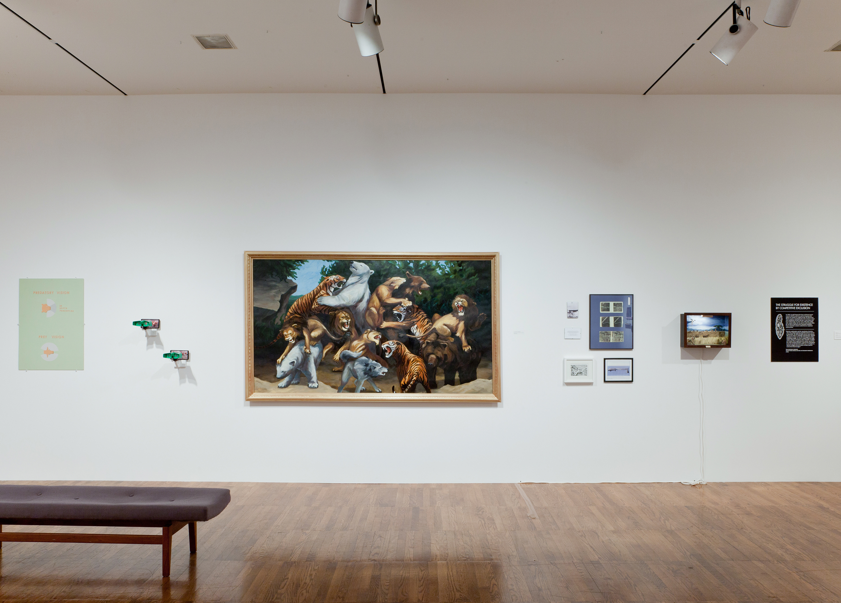 Installation view