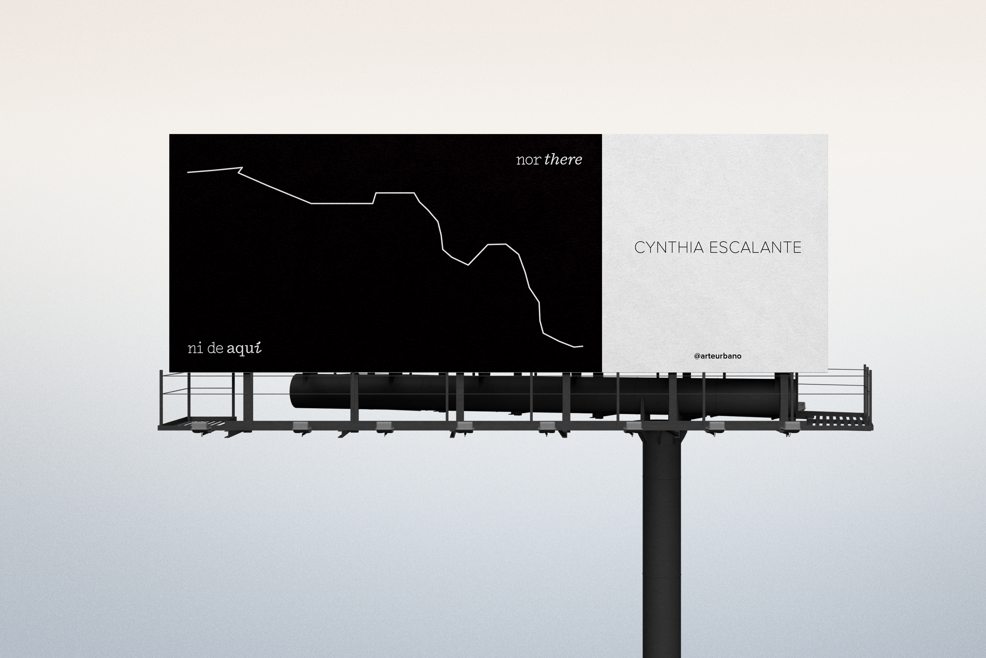 Cultural Identity Campaign