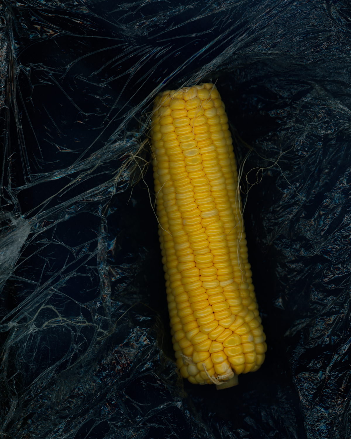 实践证明，放了20天以后的玉米不甜了。