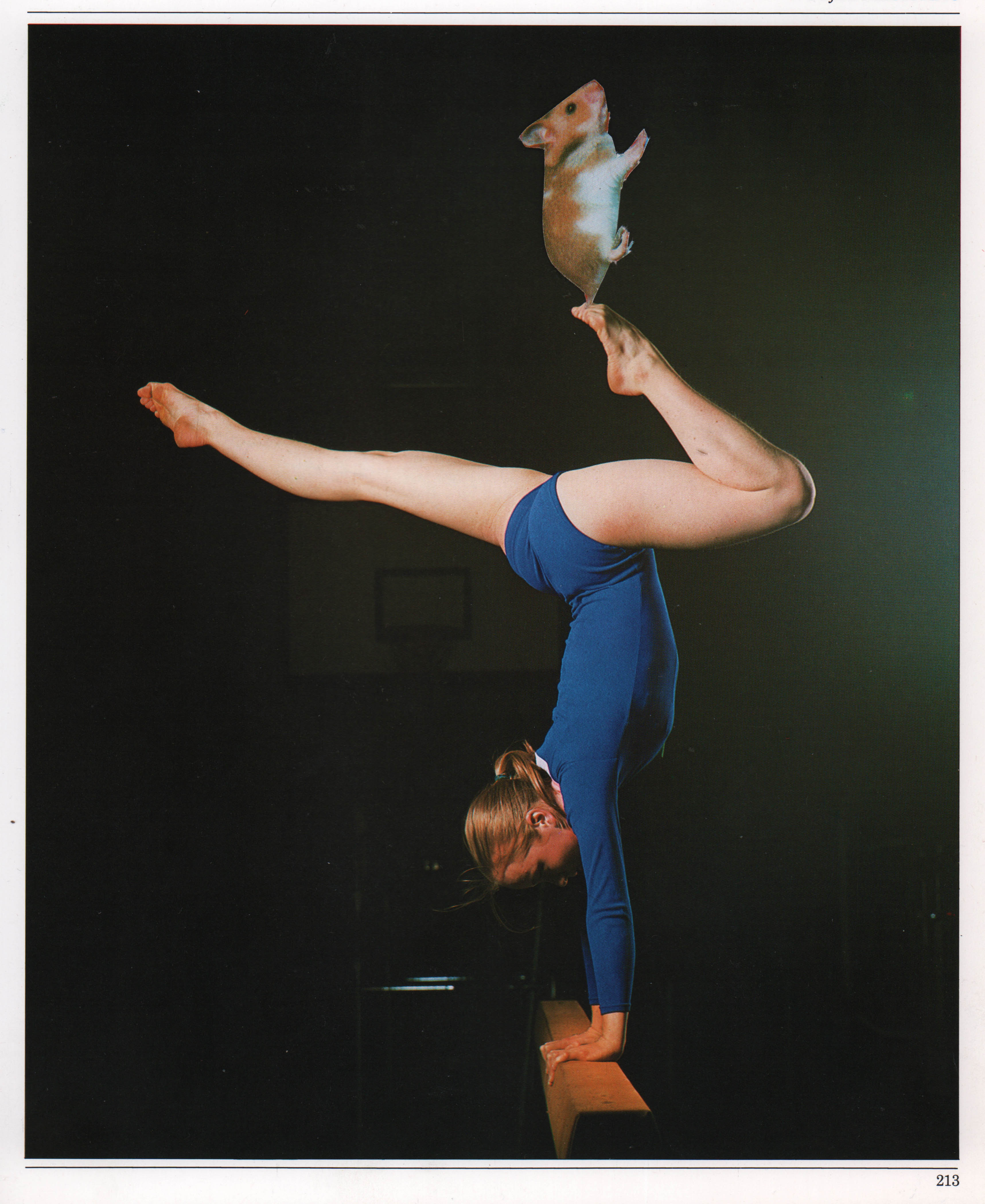 Balance, 2022, photomontage, 22 x 29 cm