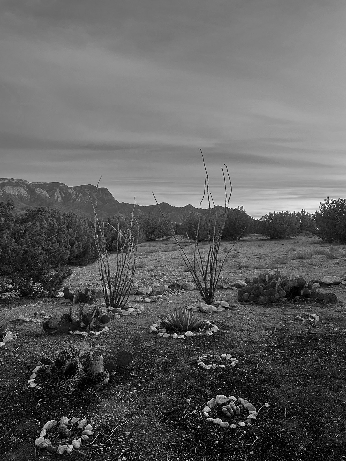 View from Placitas, New Mexico, during artist residency at Tamarind Institute October 2024