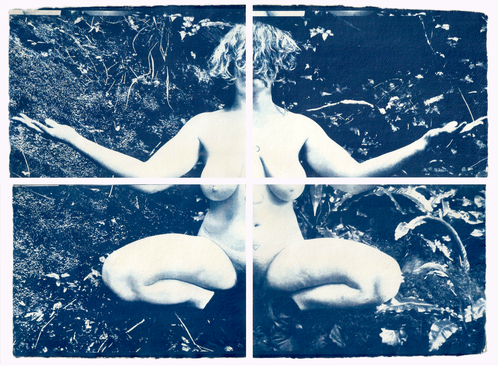 'Aya', cyanotype on recycled cotton rag paper, 320 gsm, approx 84 x 114 cm