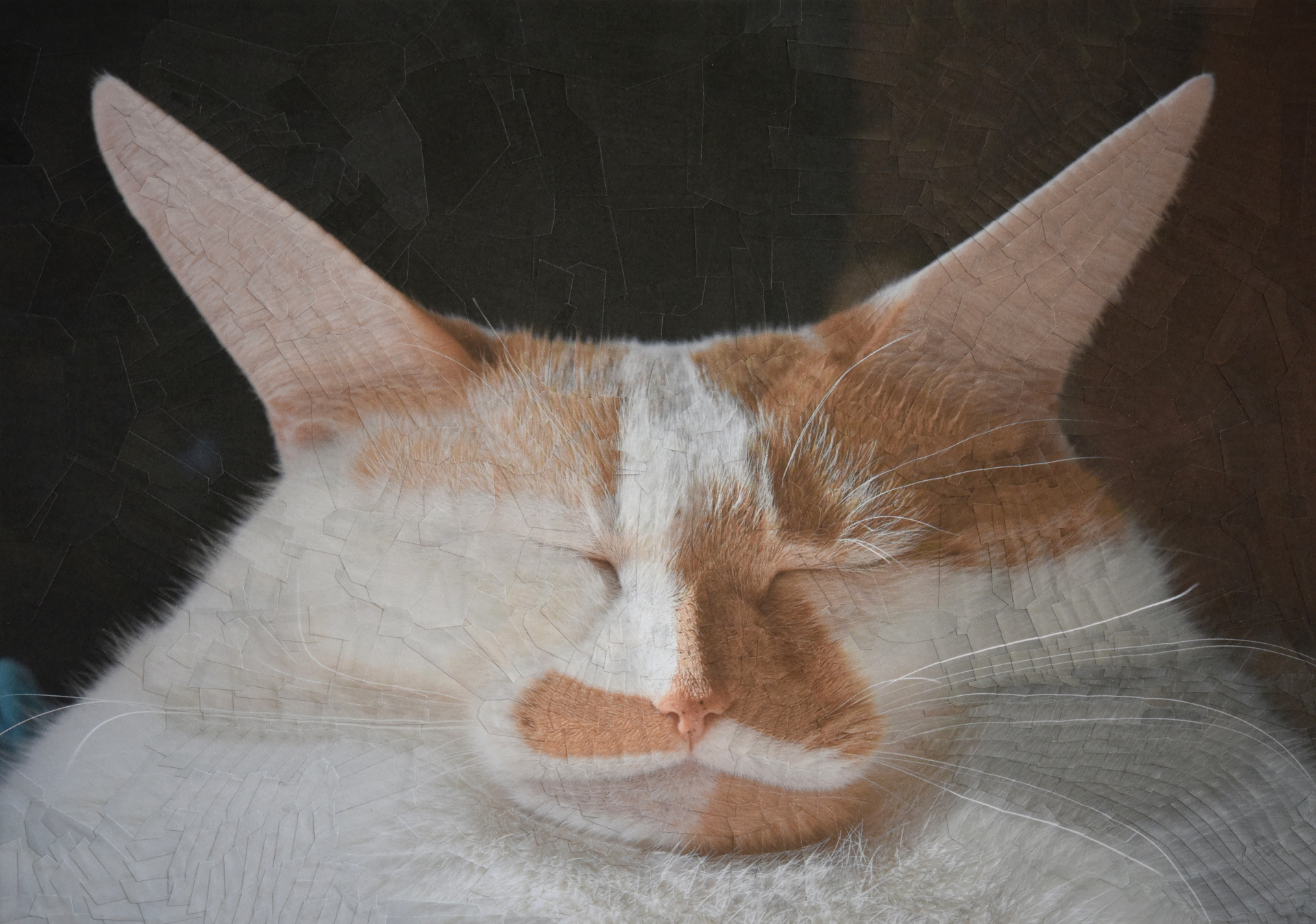 Charlie IX reposed, 2020, 11.6 x 8.2 inches