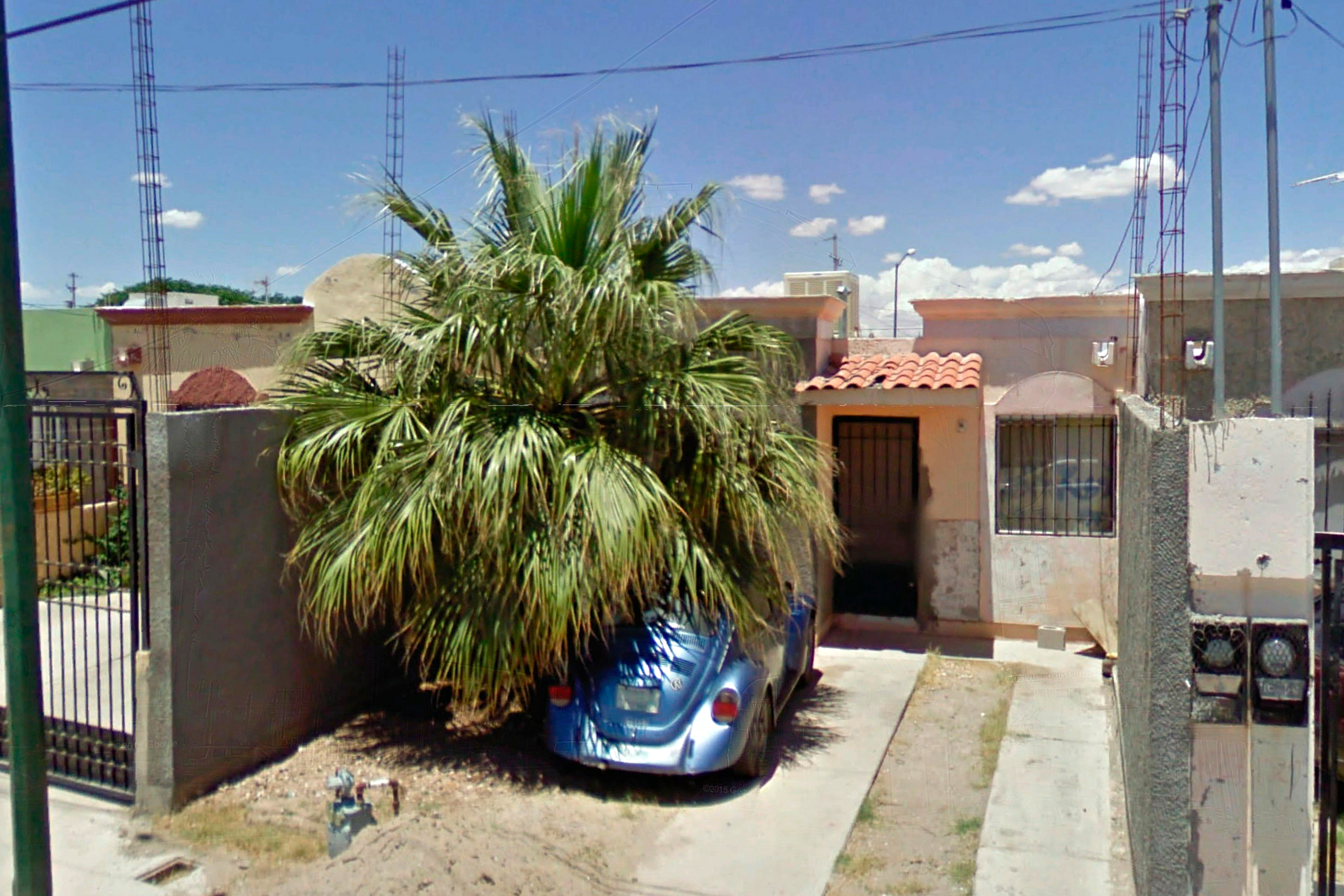 1029 Llamas. Un Oasis de Horror en un Desierto de Aburrimiento.