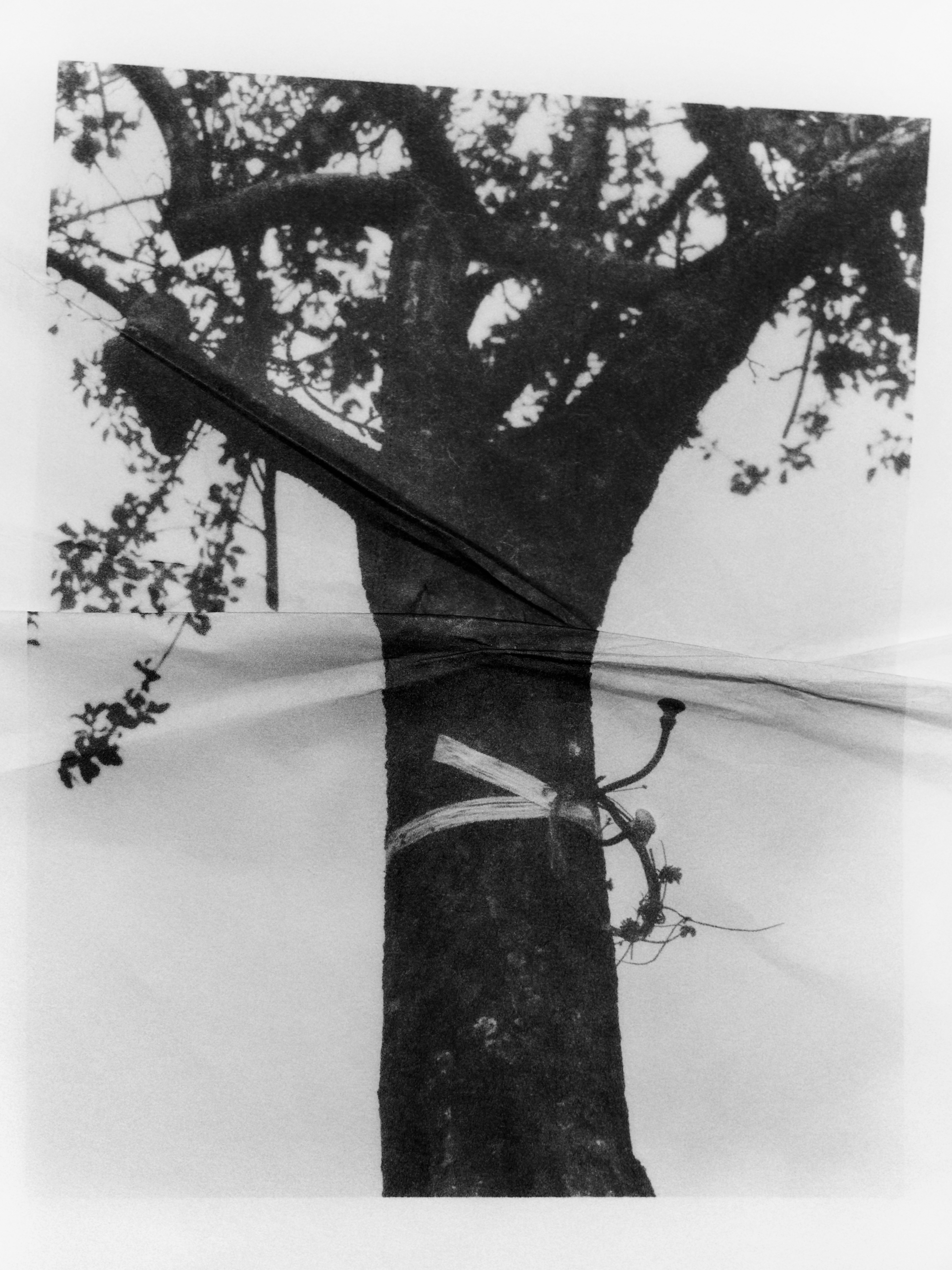 Bound Magazine x Haruna Ogata