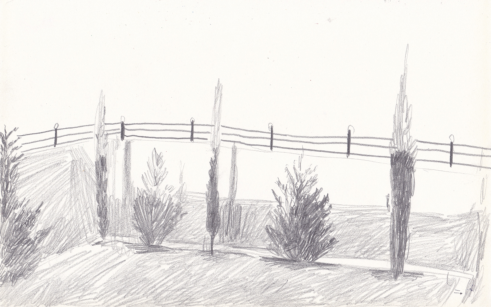 햇빛과 나무들, 2018, pencil on paper, 17*24.1(cm)