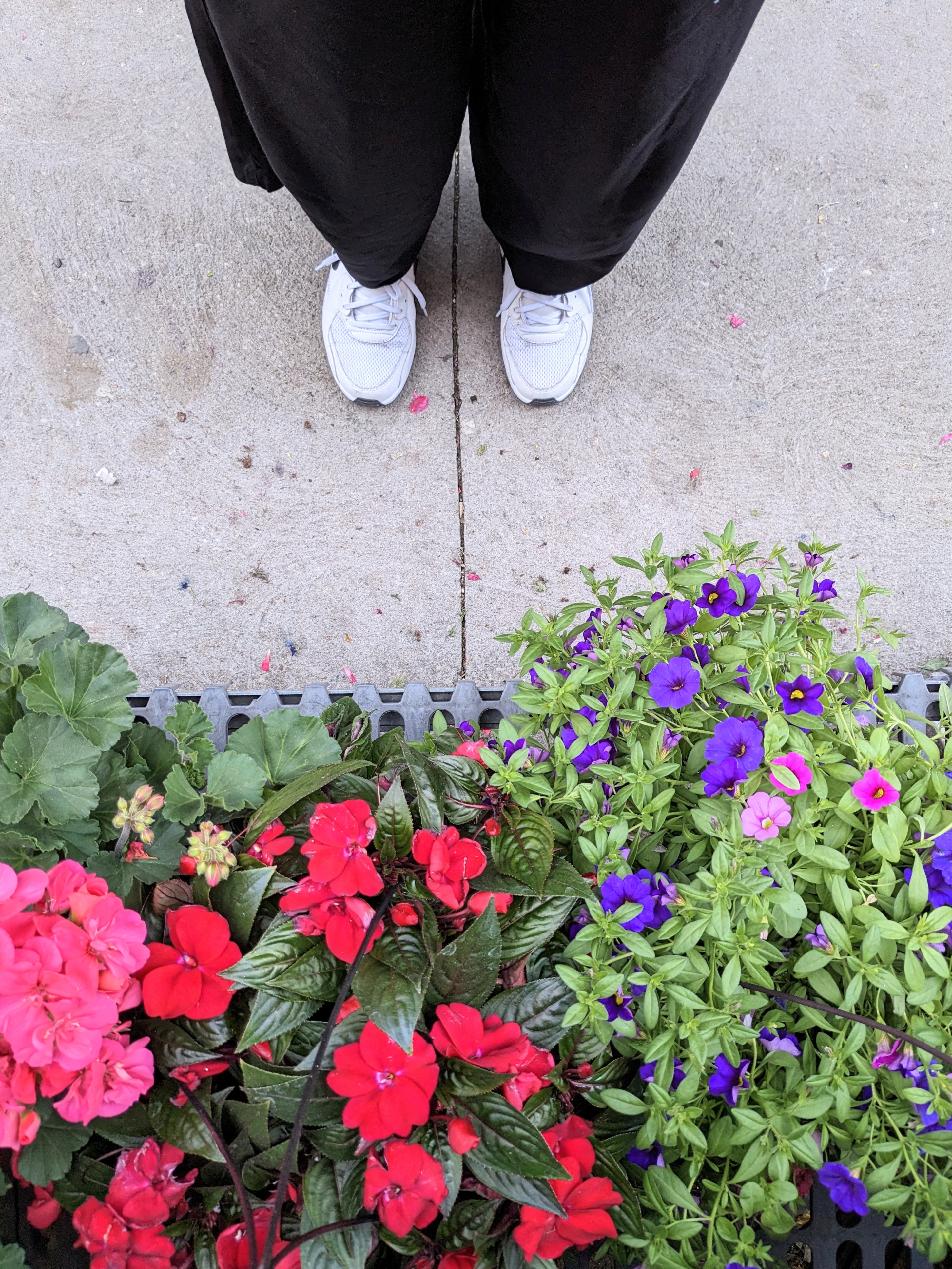 May 14, 2023: Fleurs