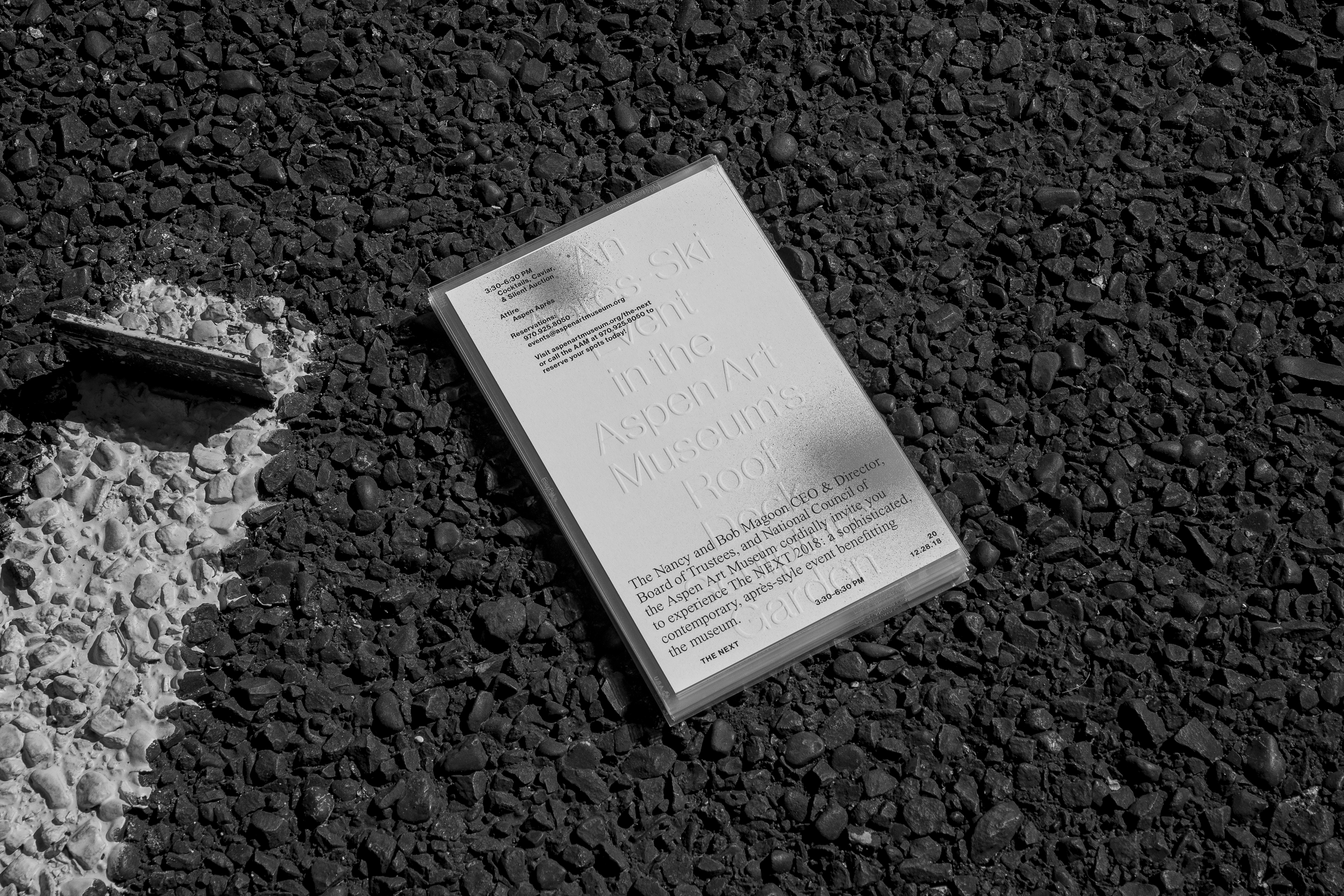 Print Ephemera for the AAM’s Winter Benefit THE NEXT 2018